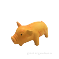 Squeaker Toys Pig Pet Toy for Sale Manufactory